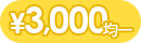 3000ポッキリ