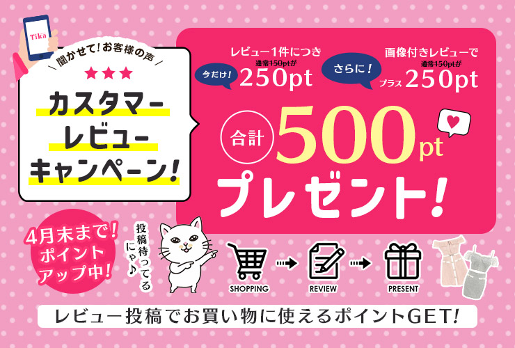 レビューポイントアップキャンペーン