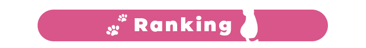 ランキング