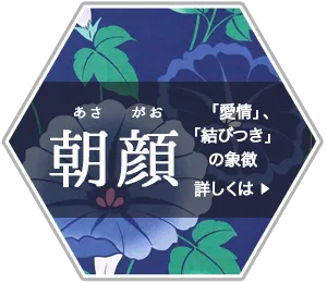 朝顔柄の浴衣、愛情・結びつきの象徴