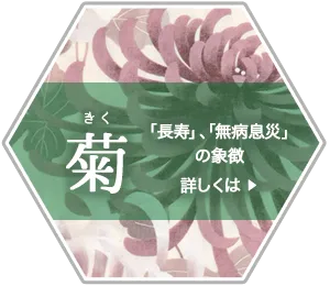 菊柄の浴衣、長寿・無病息災の象徴
