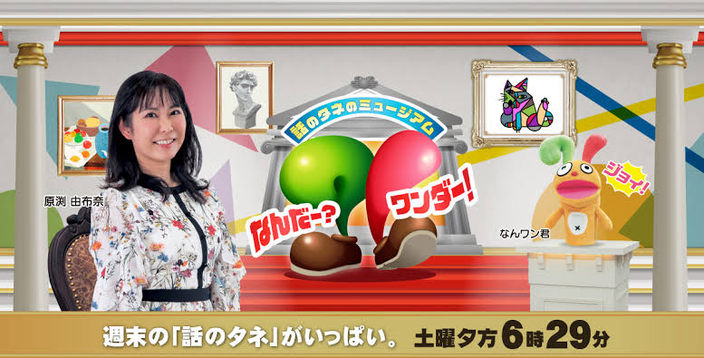 福井テレビなんだー？ワンダー！衣装提供