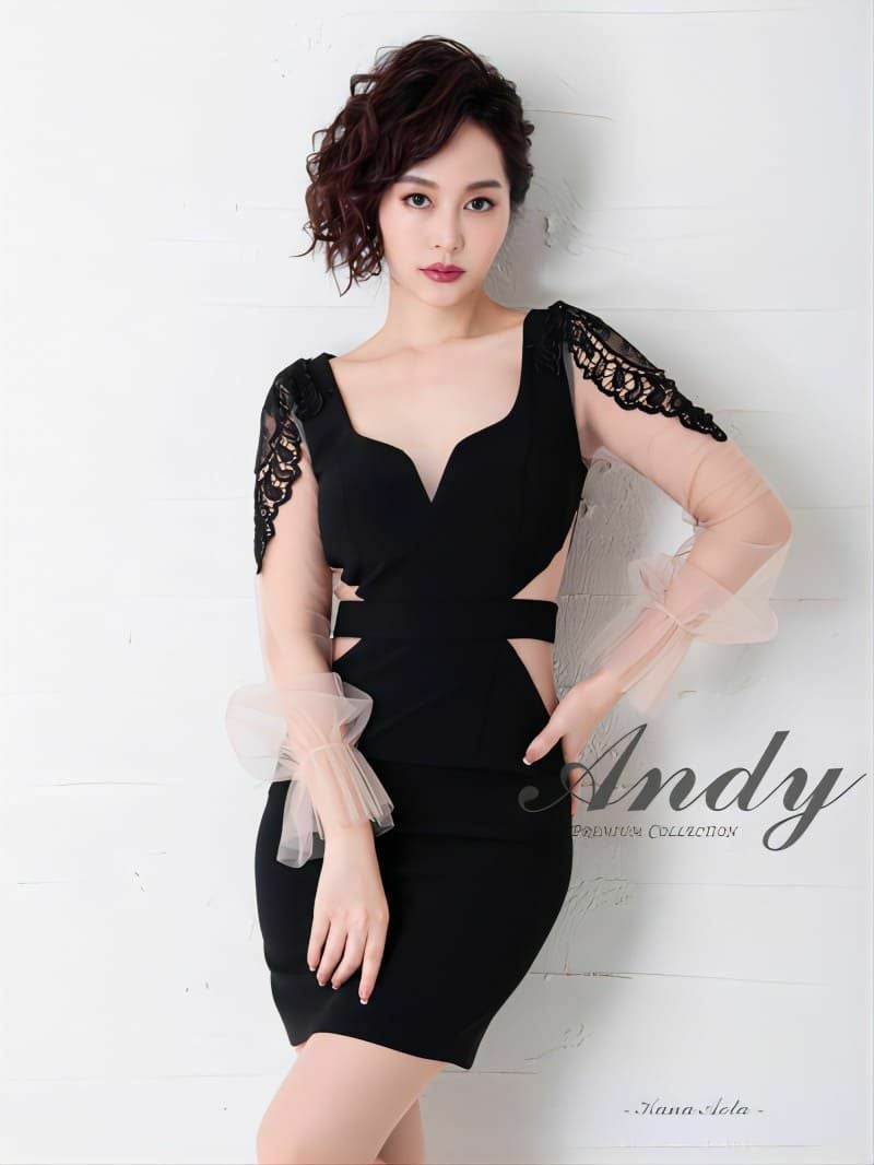 Andy アンディ 高級ワンカラーチュールスリーブウエストシアー長袖タイトミニドレス