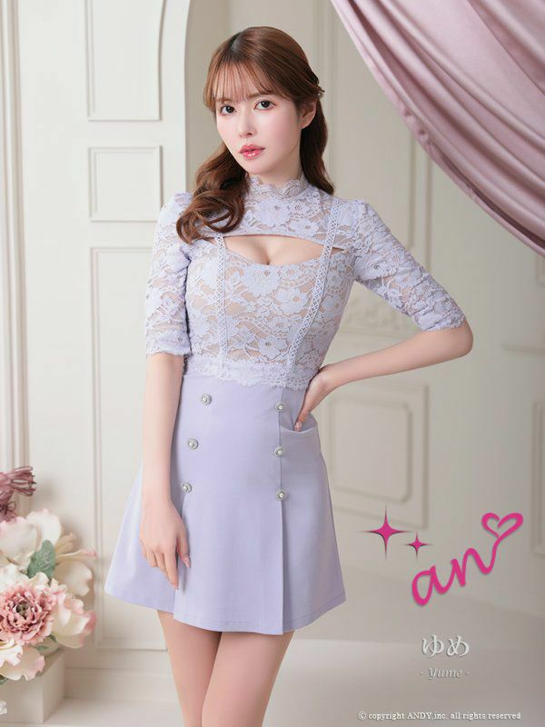an アン 高級袖ありハイネックバストカットアウトフラワー刺繍レース切替ダブルボタンプリーツフレアミニドレス