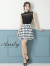 キャバドレス ミニドレス Andy アンディ 高級ブランドハイネック刺繍レースノースリーブチェック柄フレアミニドレス