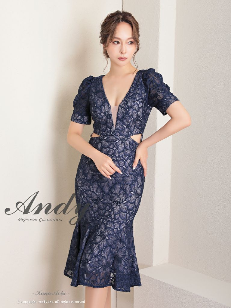 高級シルエットな半袖レースタイトミニドレス