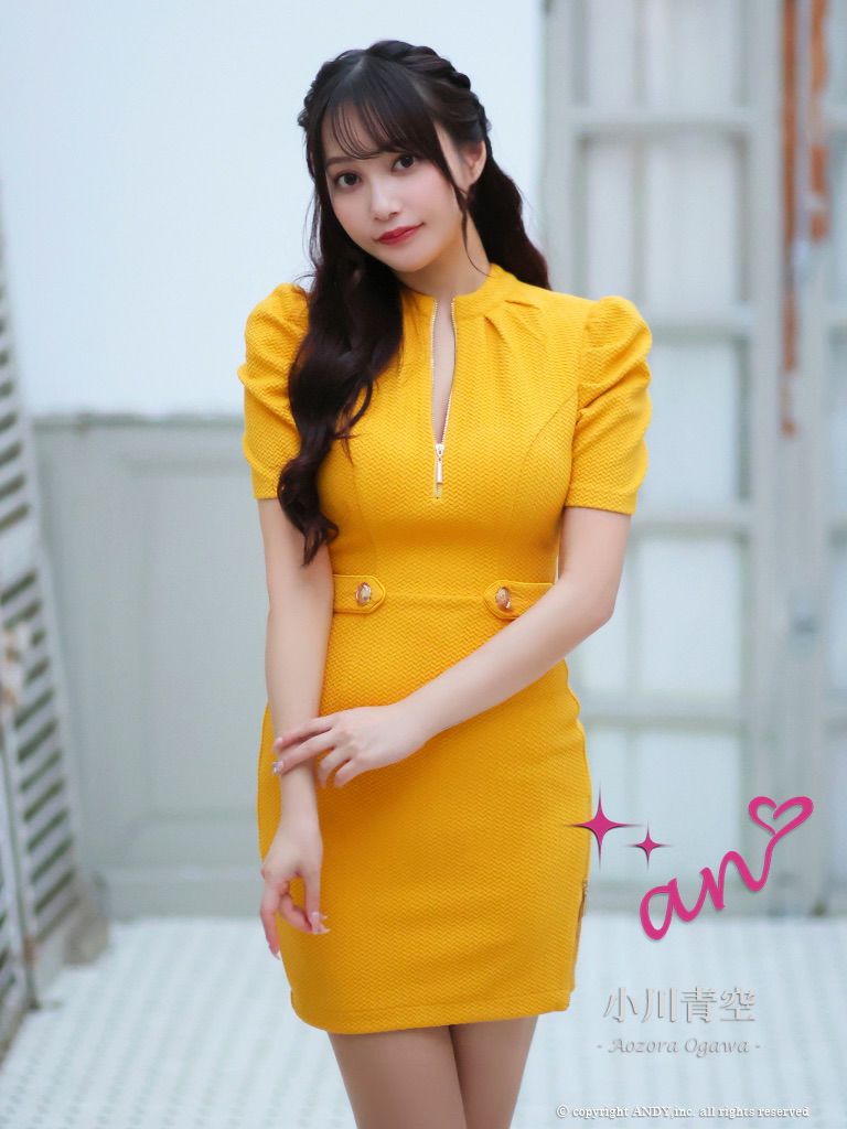 キャバドレス an アン　高級半袖パフスリーブフロントジップバックオープンリボンタイトミニドレス