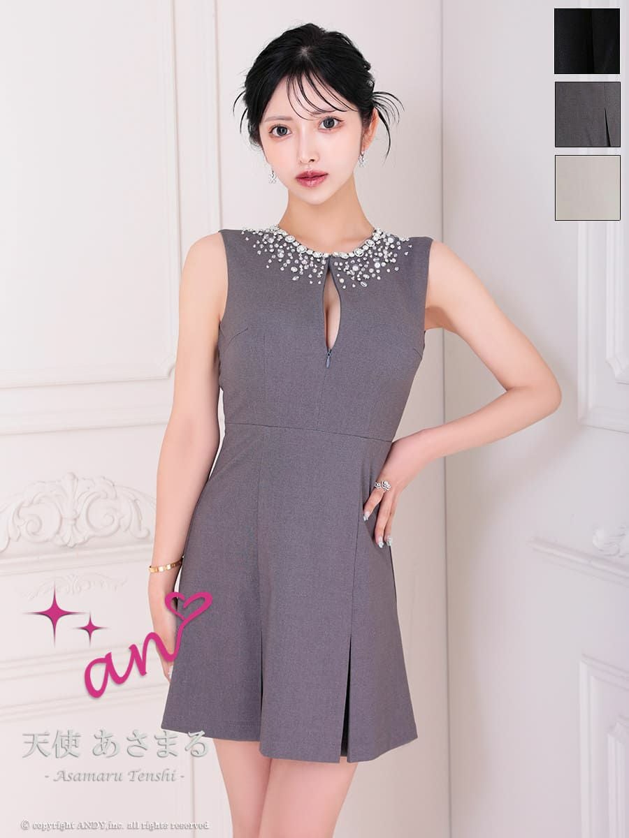 キャバドレス An アン 高級 ノースリーブ ビジュー 背中魅せ ボックスプリーツ ジップデザイン　フレアミニドレス