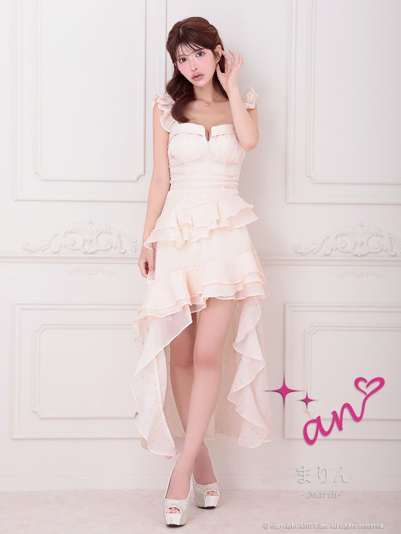 キャバドレス an アン 高級 Aライン ロングテール 谷間 シンプル ドット柄 キャミソール ジップ ビジュー フリル 大人